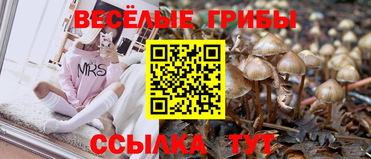 Новошахтинск  Псилоцибиновые грибы GOLDEN TEACHER  Галлюциногенные грибы Psilocybine cubensis  Вход с VPN 