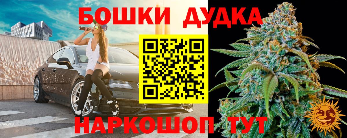 Шишки марихуана семена Новошахтинск
